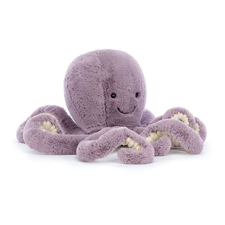 octopus